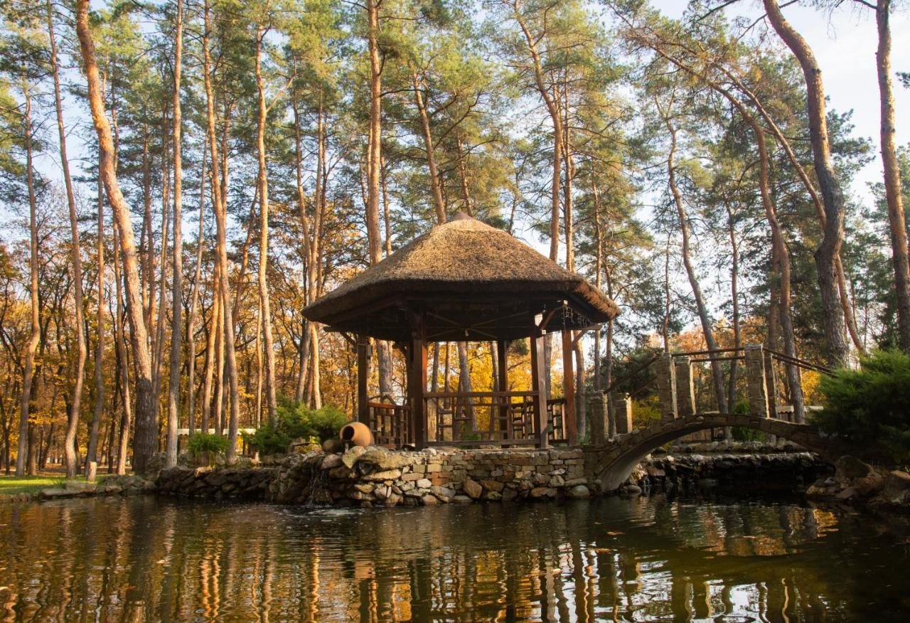 Курортний комплекс Kohavi Forest Club Орлівщина