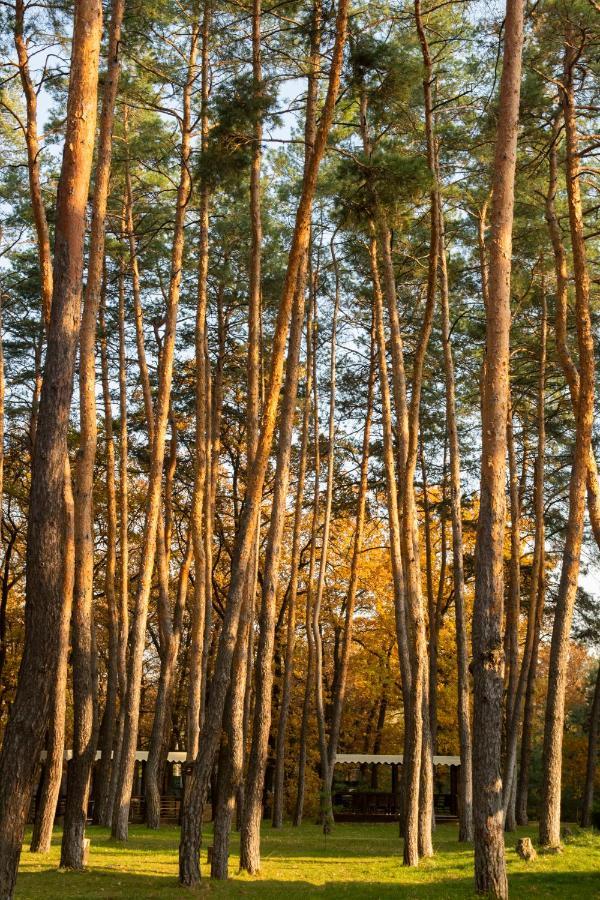 Курортний комплекс Kohavi Forest Club