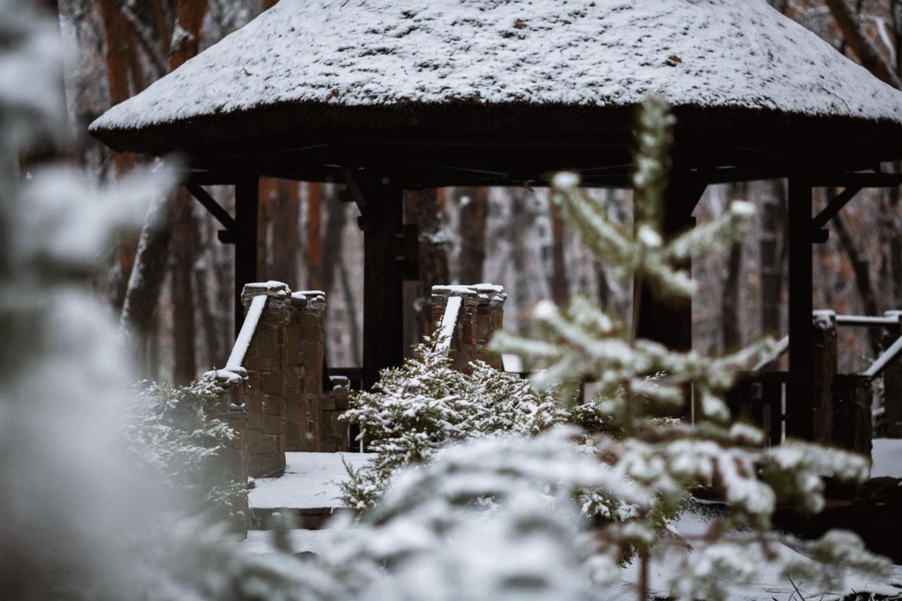 Kohavi Forest Club * Орлівщина