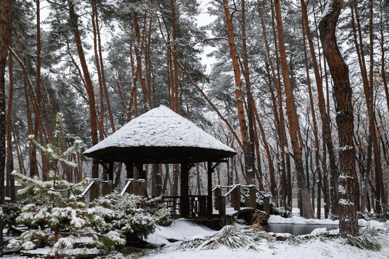 Kohavi Forest Club Resort *