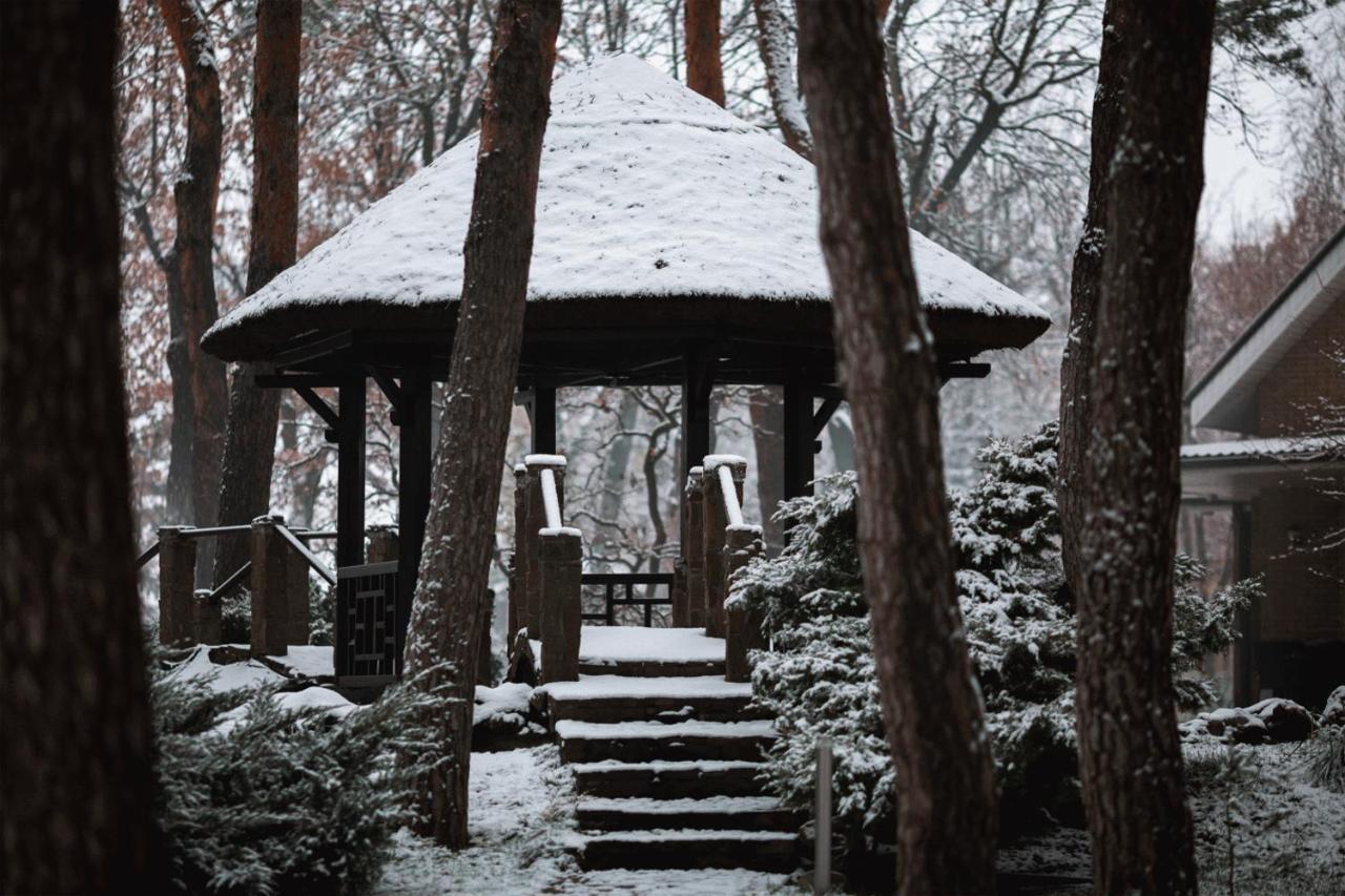 Kohavi Forest Club * Orlovshchina